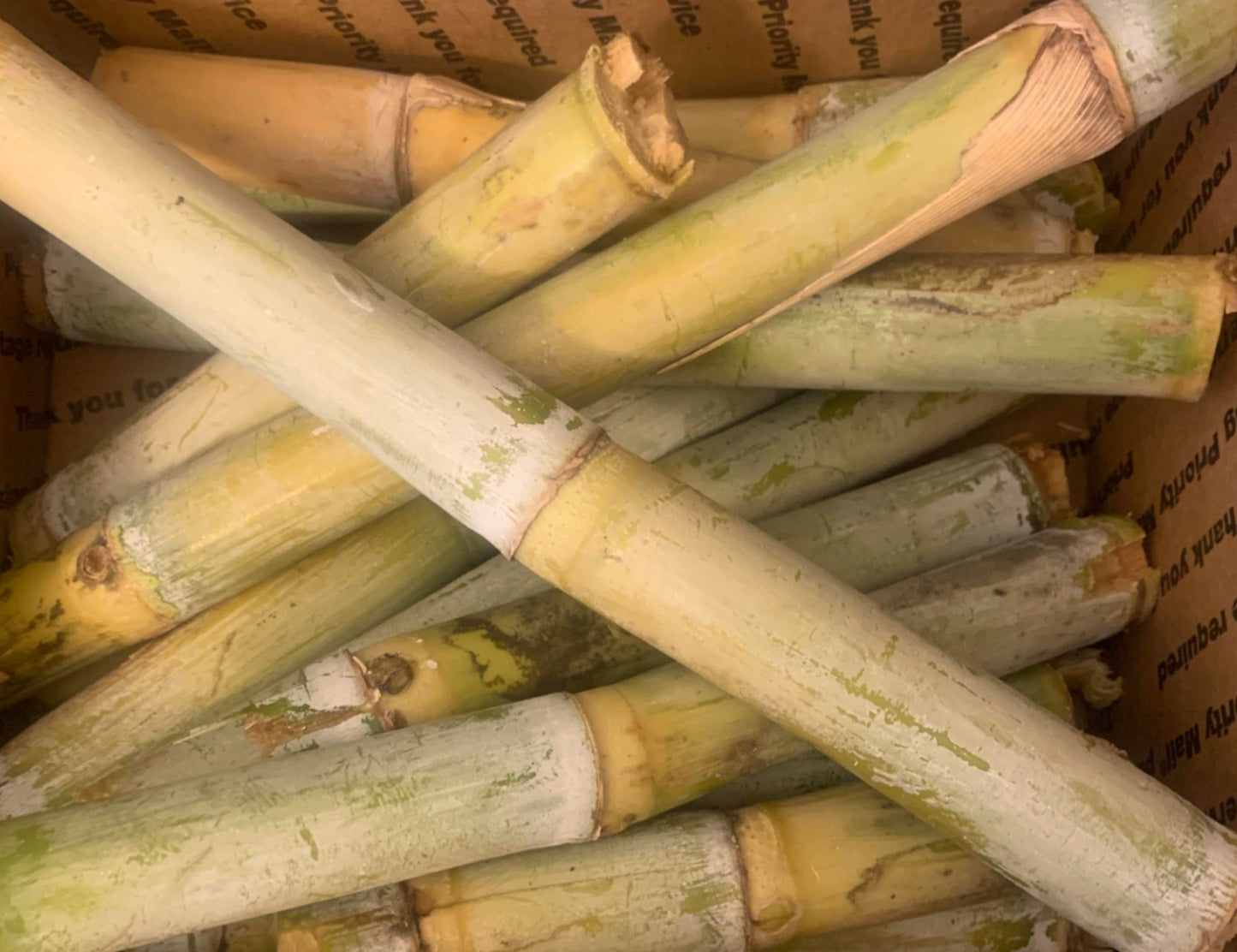 Organic Raw Whole Sugar Cane - OUT OF STOCK - Firdos Market feat. Candiholic