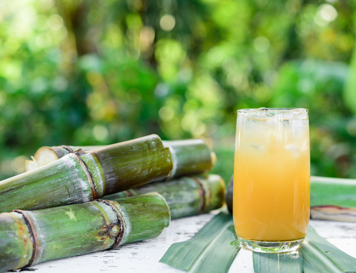 Organic Raw Whole Sugar Cane - OUT OF STOCK - Firdos Market feat. Candiholic