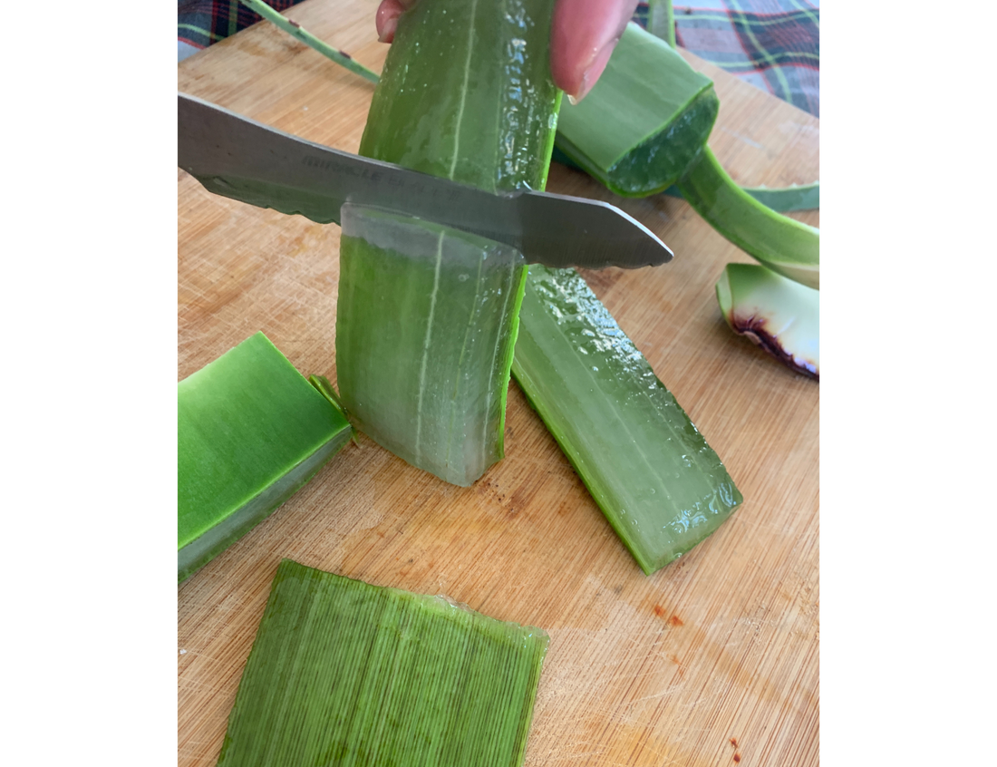 aloe vera gel, aloe vera, natural remedy