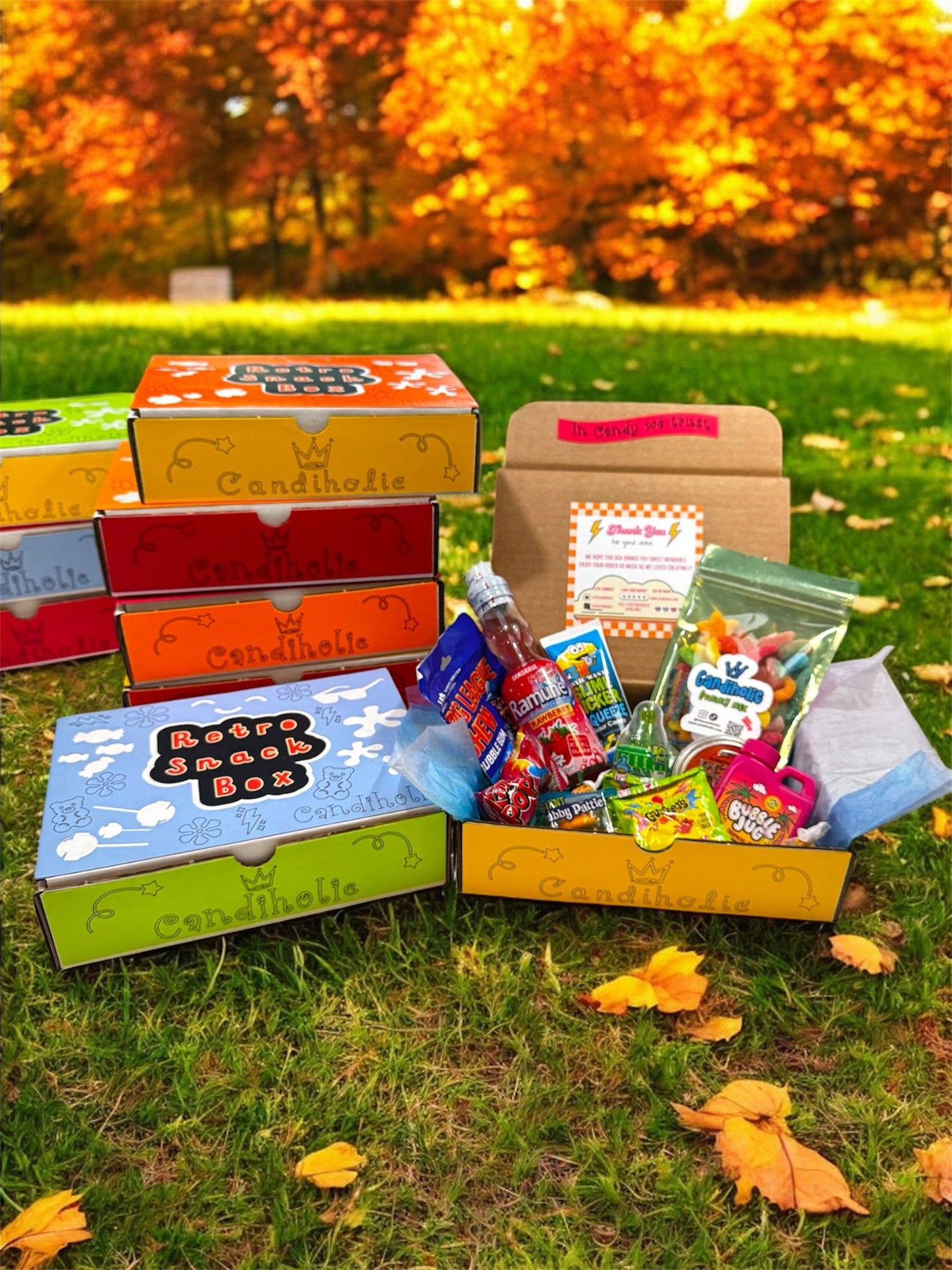 Colorful boxes with snacks and candies on grass with autumn trees in the background